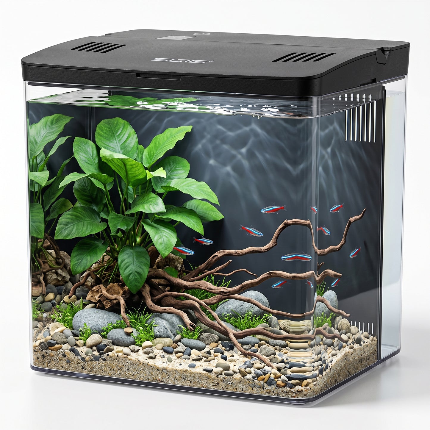 4.5L Fish Tank Starter Kit, Aquarium Kits with LED Light & Wall-Mounted Back Filter, Ideal for Betta Fish, Shrimp & Small Aquatic Creatures (Black, 20cmx14cmx20cm)
