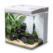 OUKMAO compact desktop aquarium setup