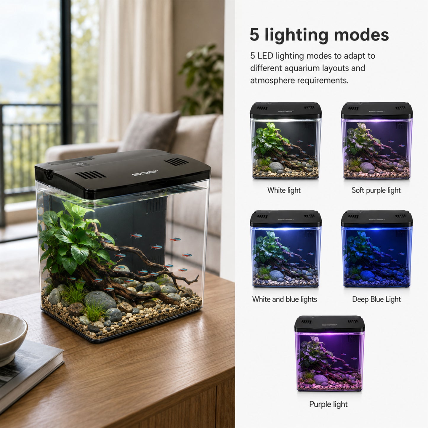 4.5L Fish Tank Starter Kit, Aquarium Kits with LED Light & Wall-Mounted Back Filter, Ideal for Betta Fish, Shrimp & Small Aquatic Creatures (Black, 20cmx14cmx20cm)